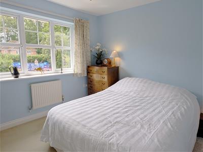 Picture 21